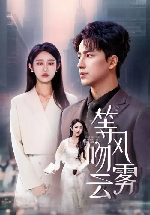 电视剧：暗夜与黎明